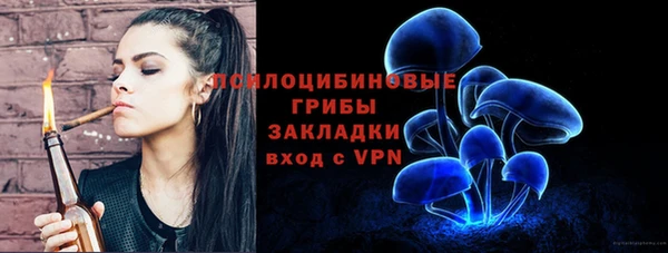 твердый Балабаново