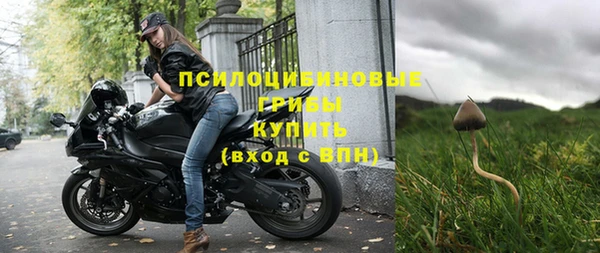 молекула духа Балахна