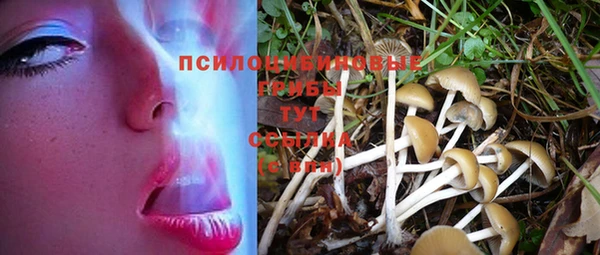 твердый Балабаново